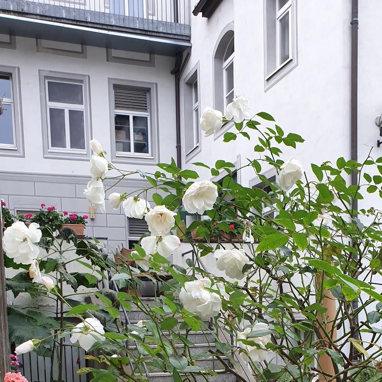 Restaurant "Café Restaurant Friedrichstadt" in Dresden