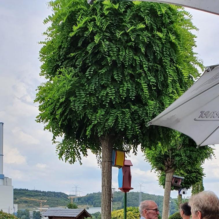 Restaurant "Fährhaus" in  Tespe