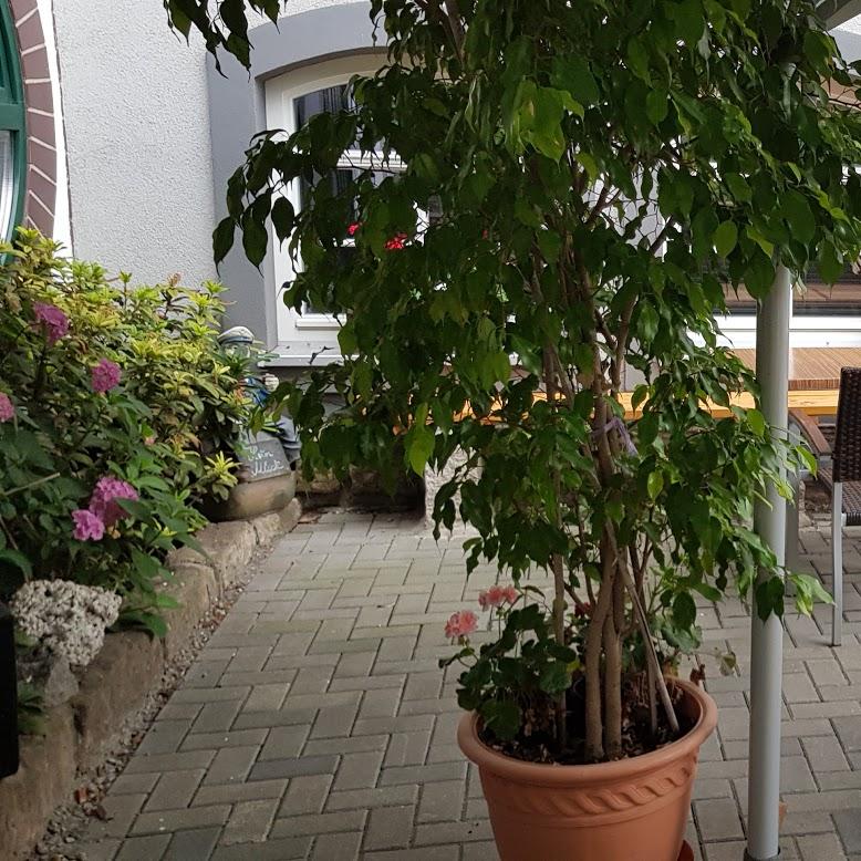 Restaurant "Gastmahl des Meeres" in Dresden