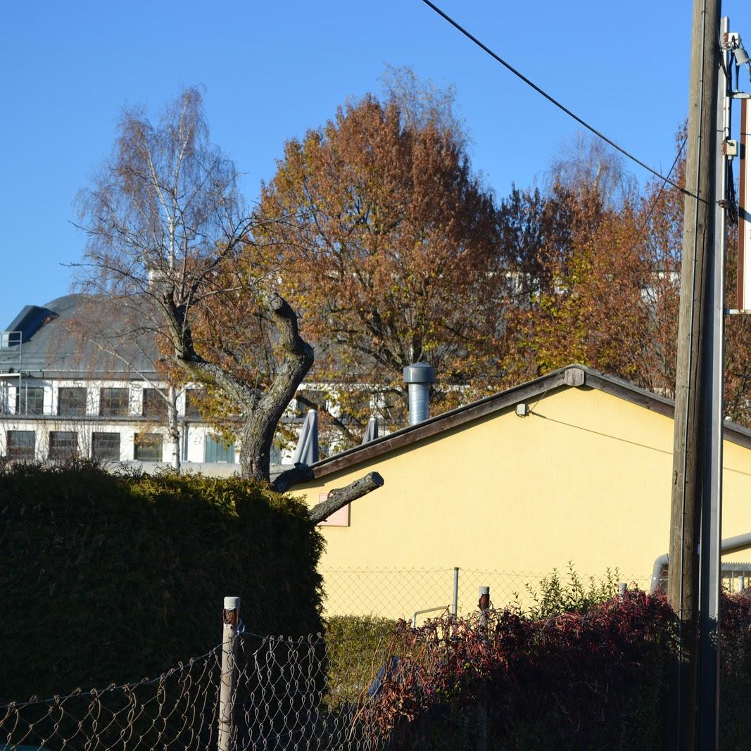 Restaurant "KGV Klingenwald 1 e.V." in Nürnberg