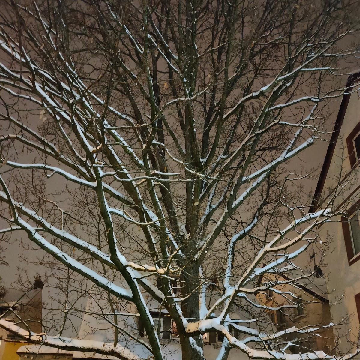 Restaurant "Altstadt Hotel" in Detmold