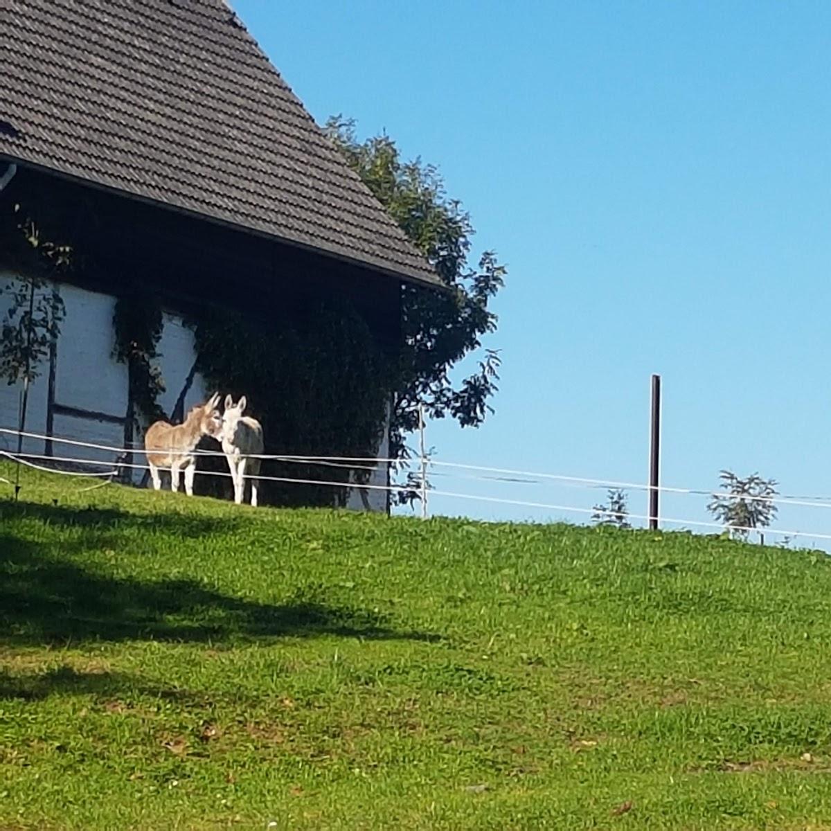 Restaurant "Bergische Rhön" in Lindlar