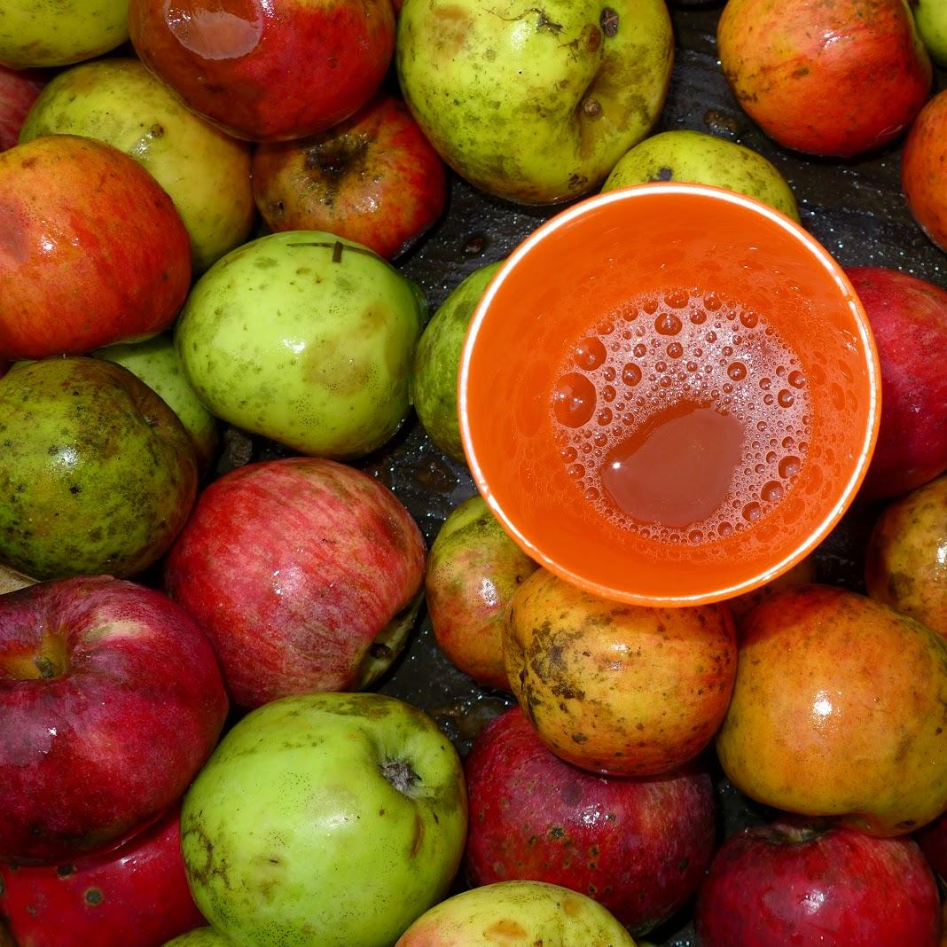 Restaurant "Lohnmosterei" in Bammental