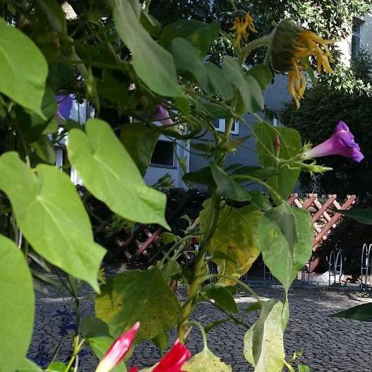 Restaurant "Café Südwind" in Berlin