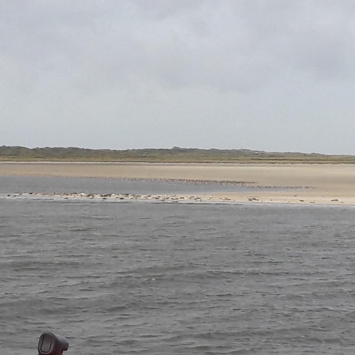Restaurant "Inselzeit  Ferienwohnung Ferienhaus Vermietungsservice" in Spiekeroog
