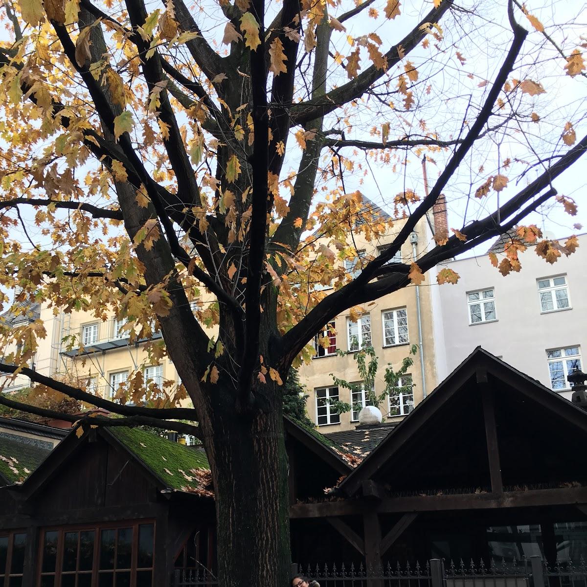 Restaurant "Café Pink Kiezoase Schöneberg e. V." in Berlin