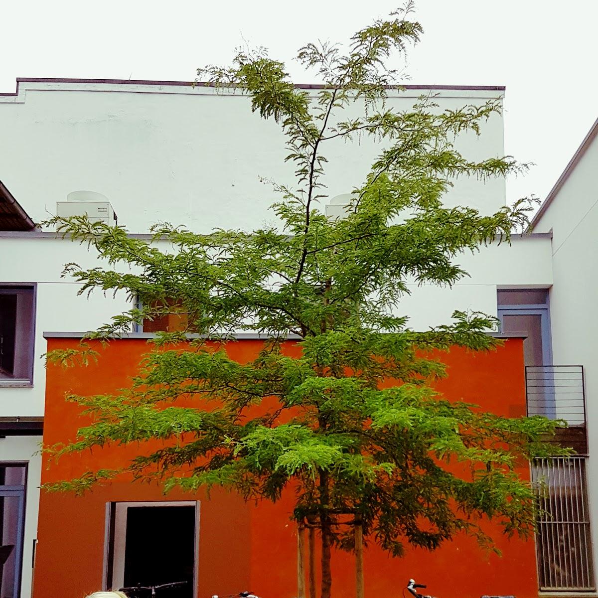 Restaurant "La Maison" in Paderborn