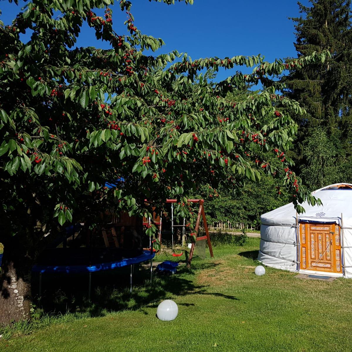 Restaurant "Pension New Nomads - Enkhmaa Khaltar" in Zossen