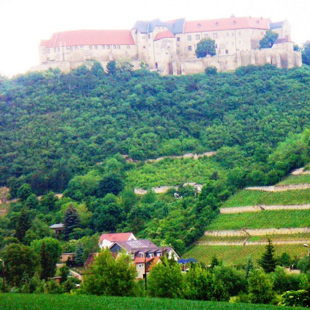 Restaurant "Hotel am Weinberg" in Freyburg (Unstrut)