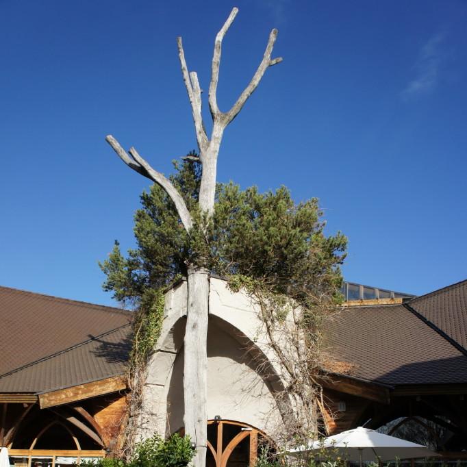 Restaurant "Naturata GmbH" in Überlingen
