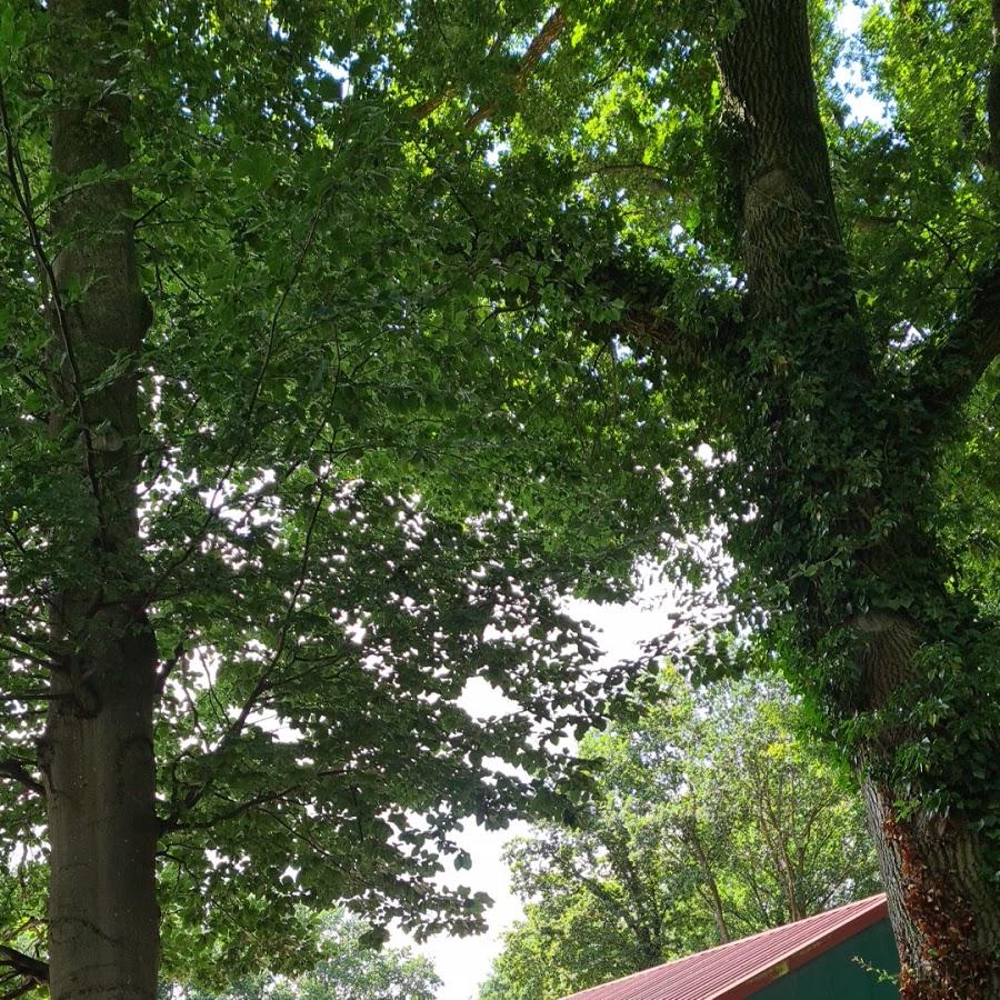 Restaurant "Ferien & Freizeithof Meutstege" in Haren (Ems)