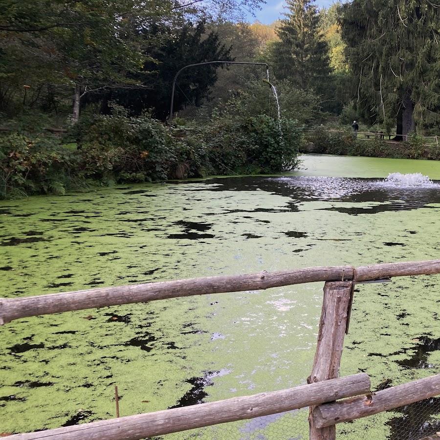 Restaurant "Waldschenke Bierbach" in Blieskastel