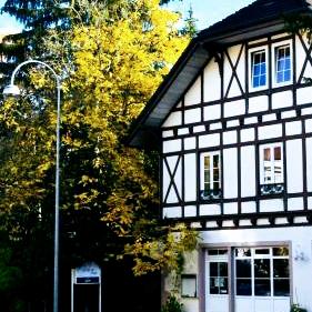 Restaurant "Hotel-Restaurant Athos" in Baden-Baden