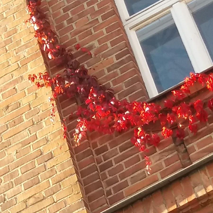 Restaurant "Naturkostladen Lotos" in Nürnberg