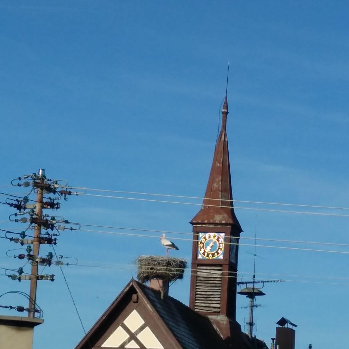 Restaurant "Landgasthof Löwen" in Teningen
