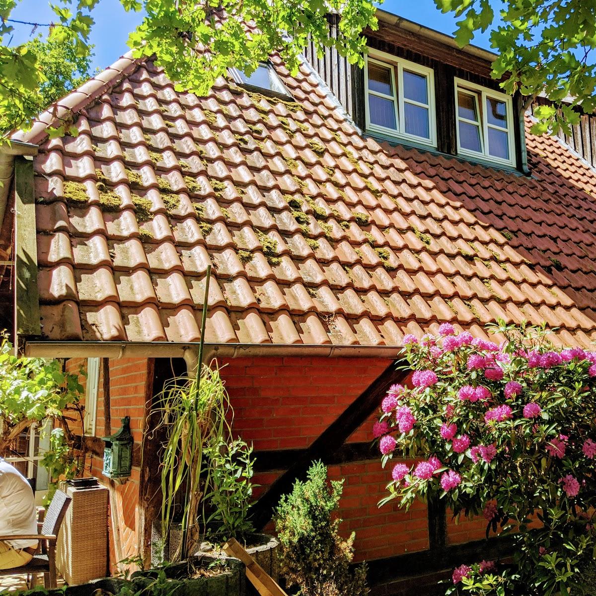 Restaurant "Landgasthof zur Bratkartoffel" in Bandenitz