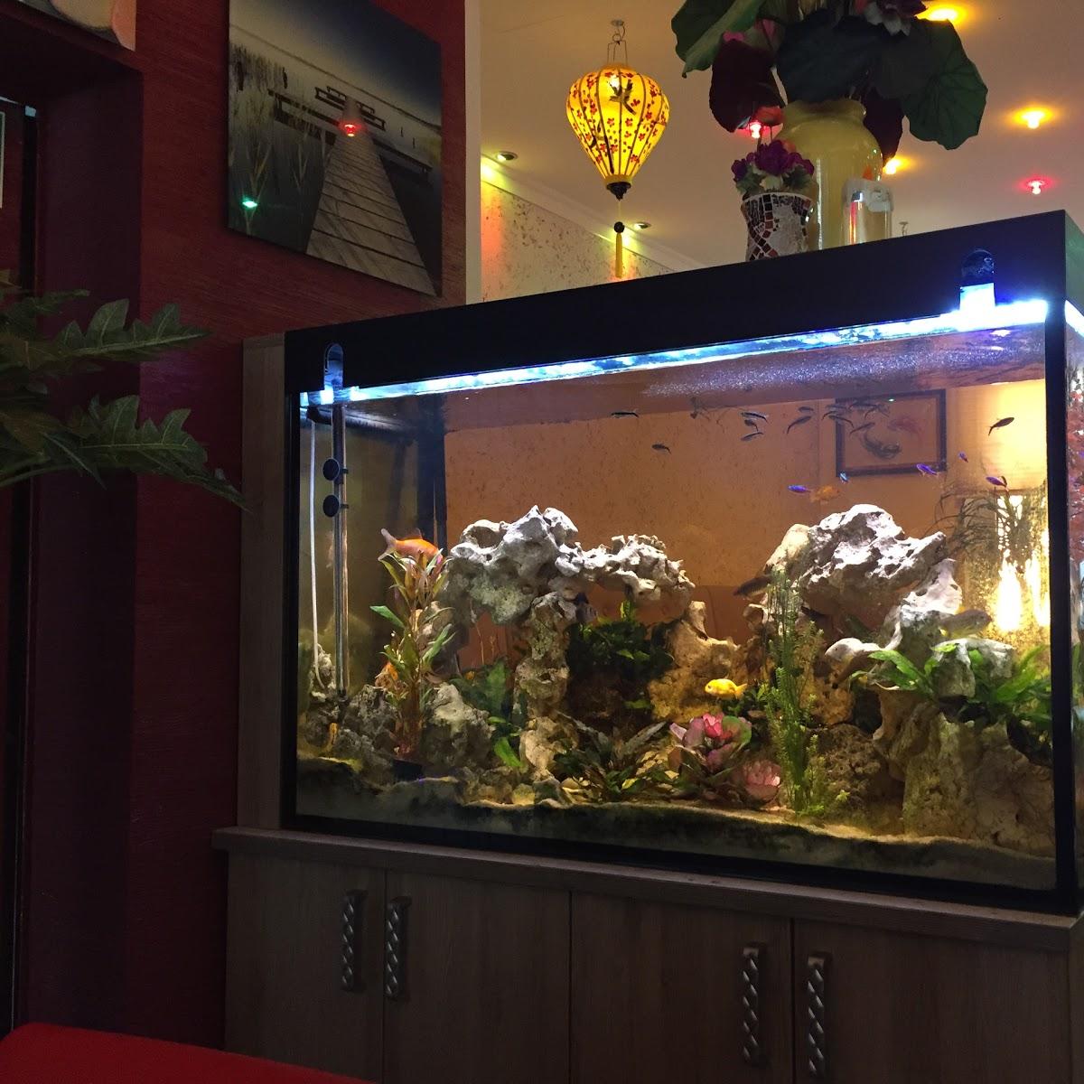 Restaurant "Buffet Hanoi Quan" in Bayreuth