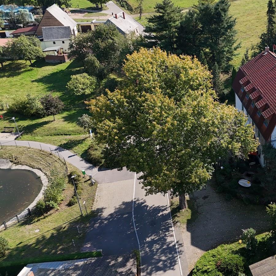 Restaurant "Reinhardts Landhaus" in Frankenberg-Sa.