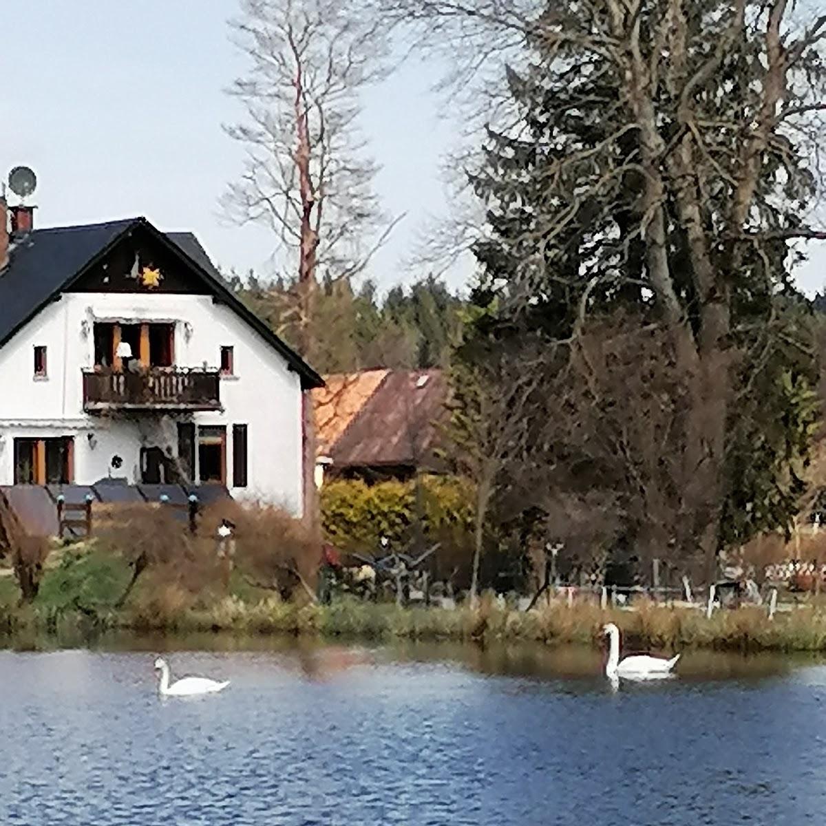 Restaurant "Gasthof Wiesners Teichwirtschaft" in Scheibenberg