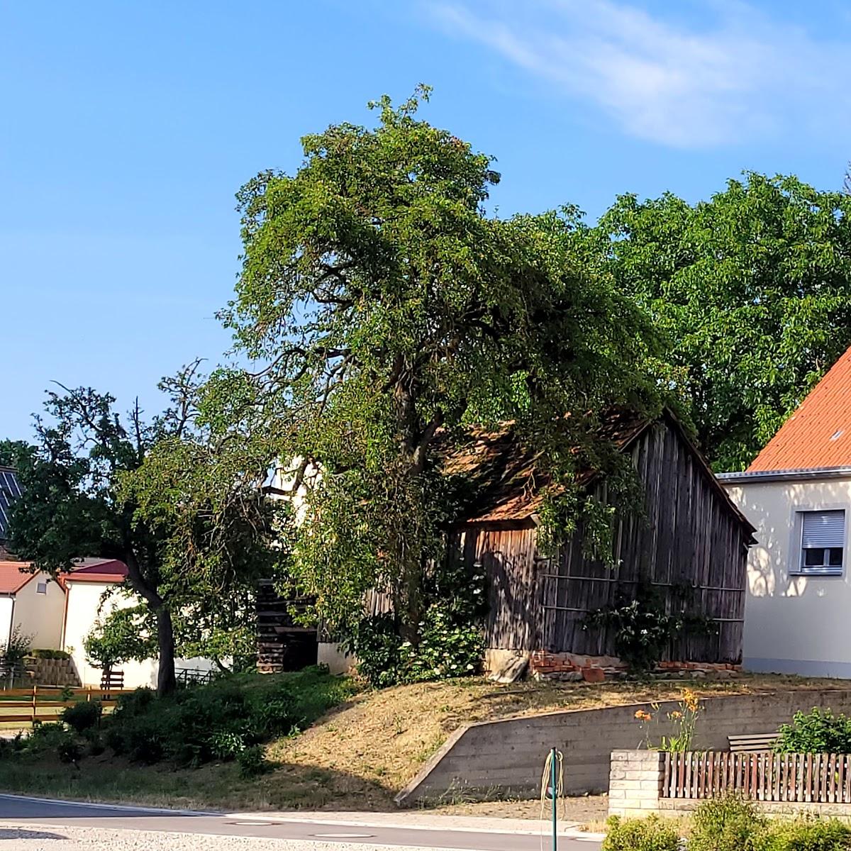 Restaurant "Gasthof Goldenes Rössle" in Dinkelsbühl