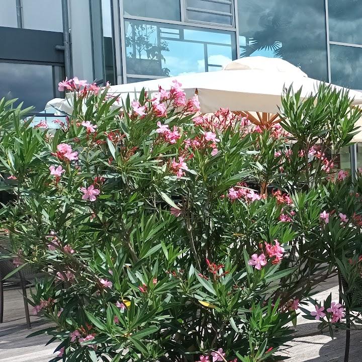 Restaurant "Restaurant @ Angel