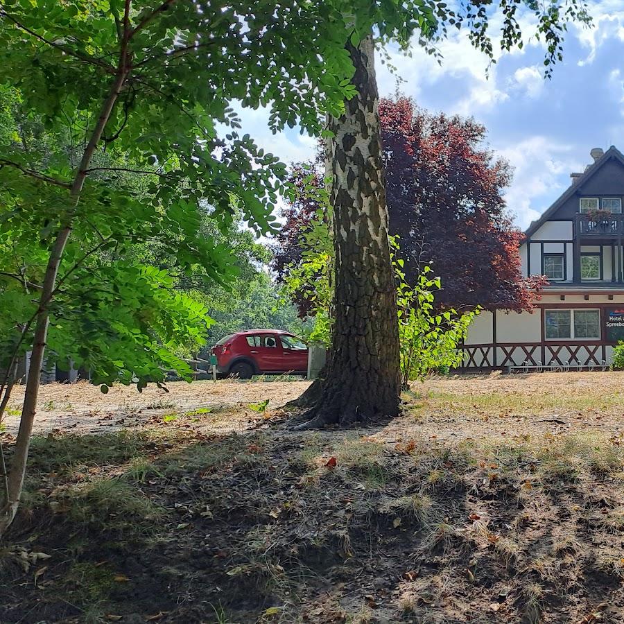 Restaurant "Hotel Am Spreebogen" in Burg (Spreewald)