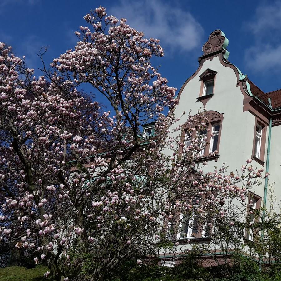 Restaurant "Villa Markersdorf" in Claußnitz