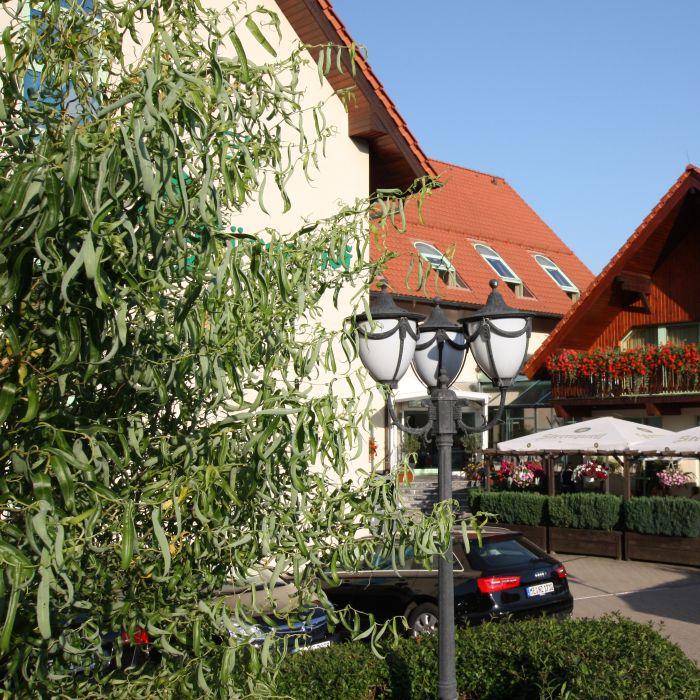 Restaurant "Hotel Bürgerhof" in Hohenstein-Ernstthal