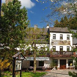 Restaurant "Waldgasthof & Hotel  Am Sauwald " in Tannenberg