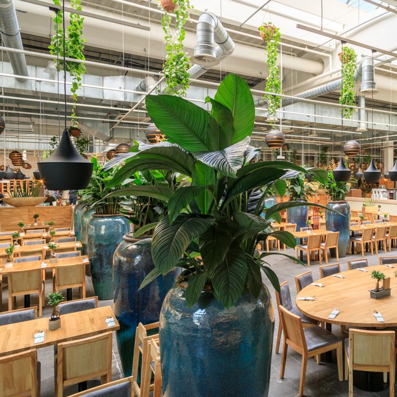 Restaurant "Watertuin World Kitchen" in Wien