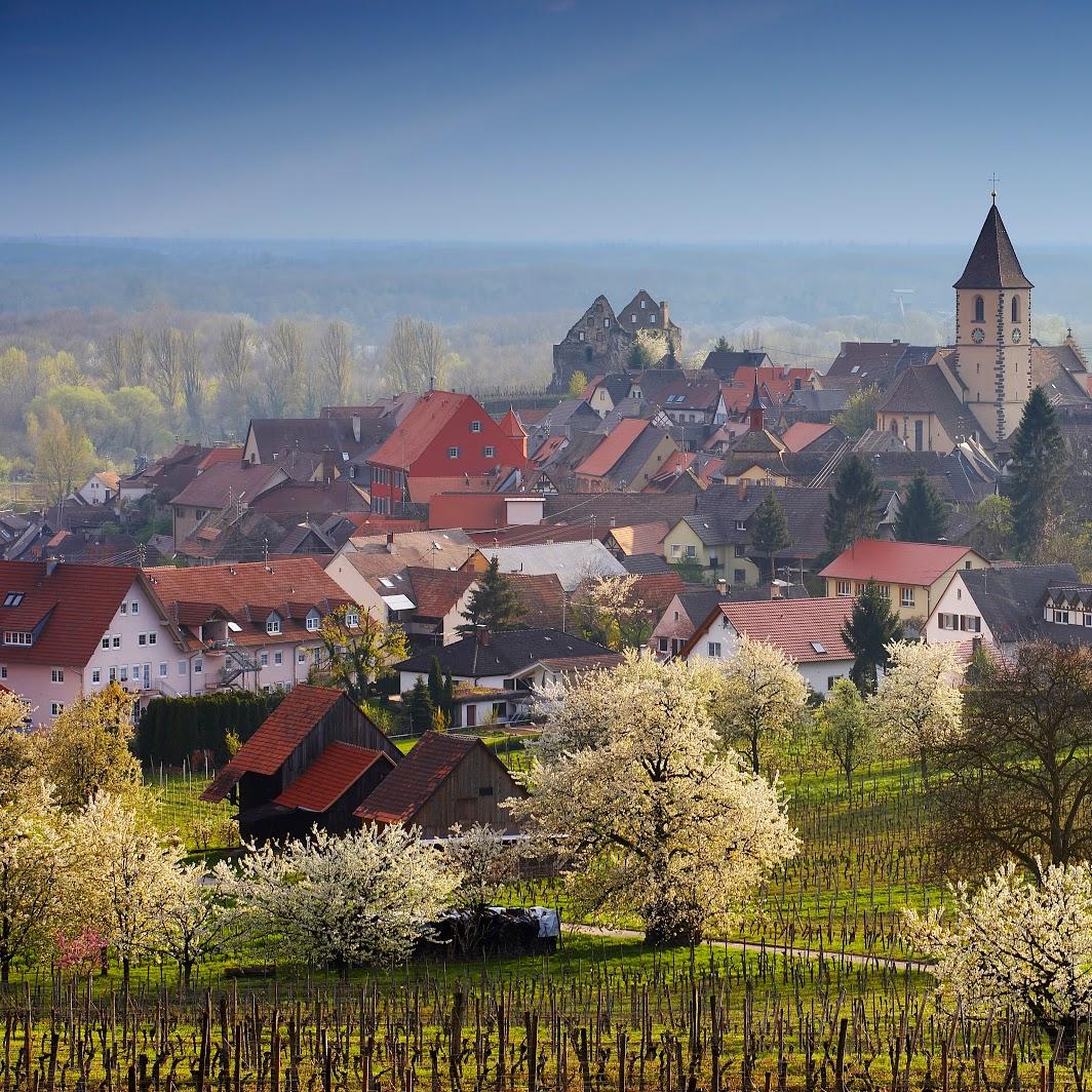 Restaurant "Kreuz-Post Hotel-Restaurant-Spa" in Vogtsburg im Kaiserstuhl