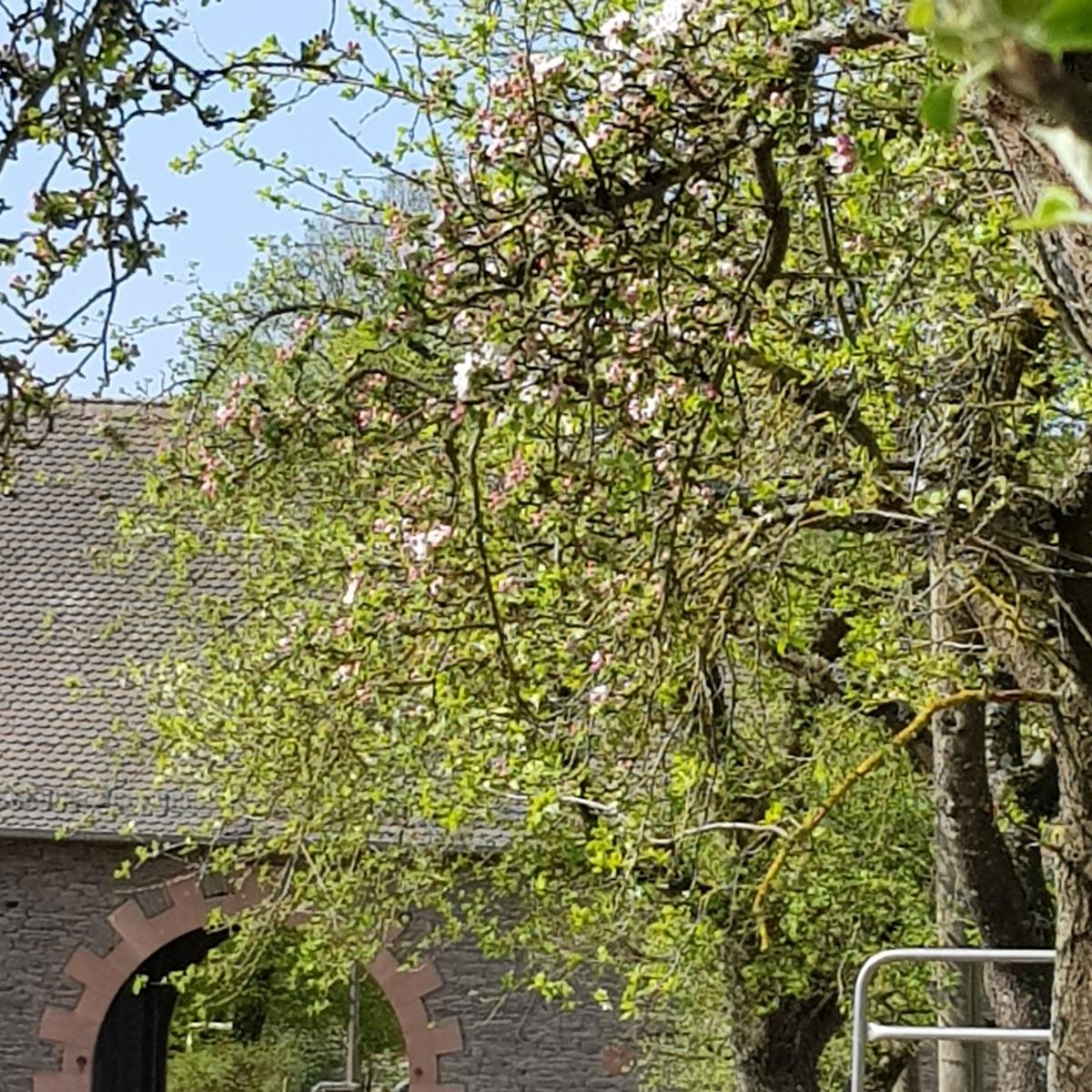 Restaurant "Hof-Hauenstein" in Krombach