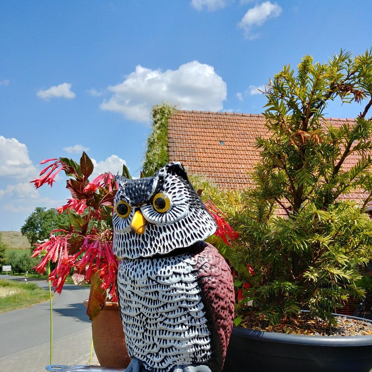 Restaurant "Landgasthof Linde" in Walldürn