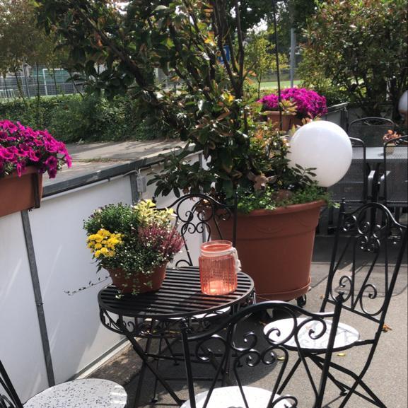 Restaurant "Restaurant Dubrovnik" in Mainz