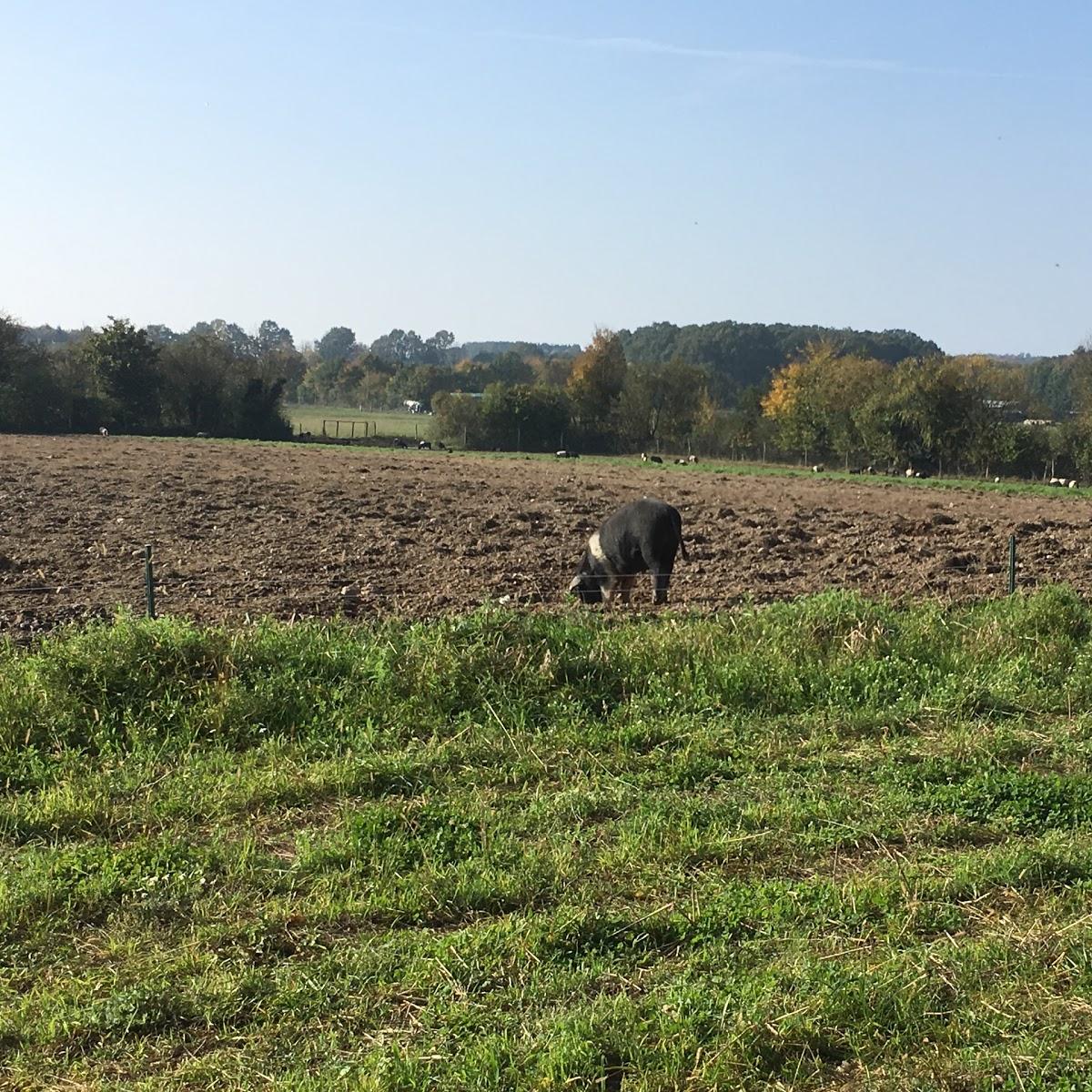 Restaurant "Gut Hirschaue - Ökologische Wildhaltung und Hofladen" in Rietz-Neuendorf