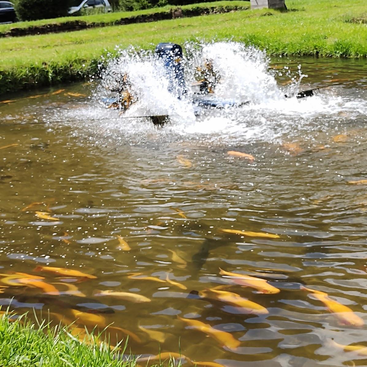 Restaurant "Laden Forellenzucht Calmbach" in Bad Wildbad