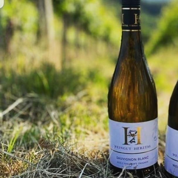 Restaurant "Weingut Herztal, Inh. Müller U. und H." in Oberkirch