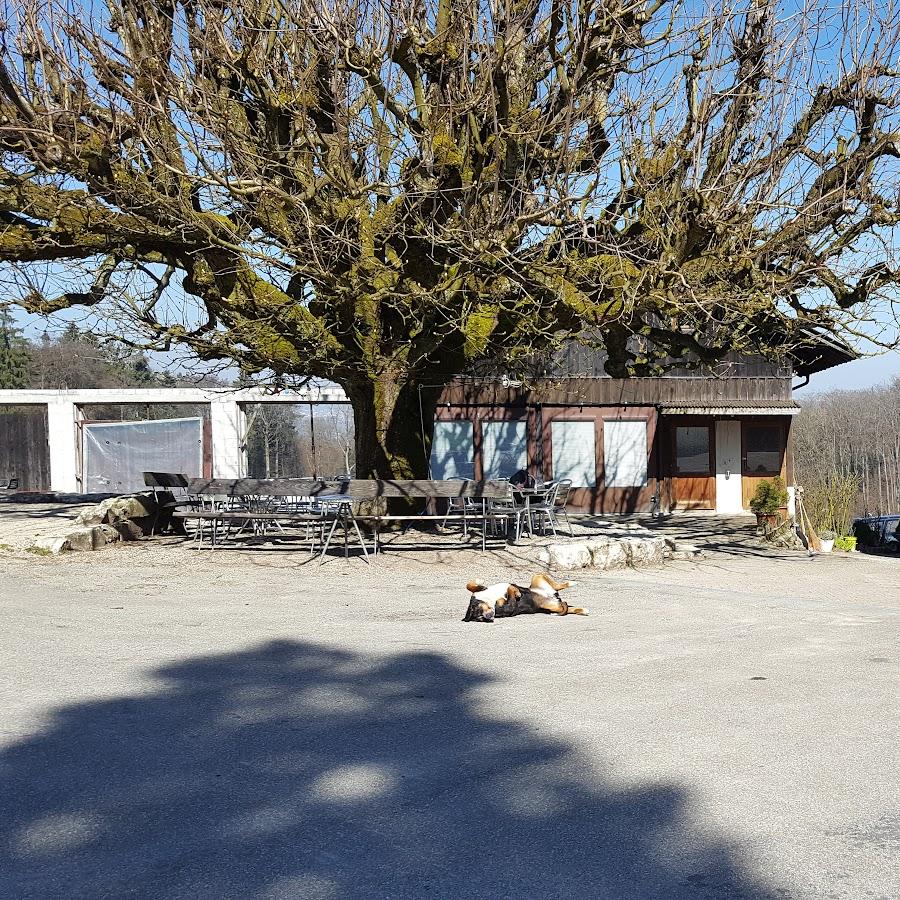 Restaurant "Achenberg - Bad" in Zurzach