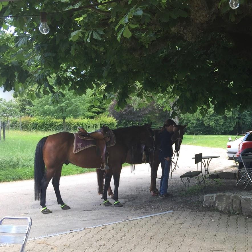Restaurant "Achenberg" in Zurzach