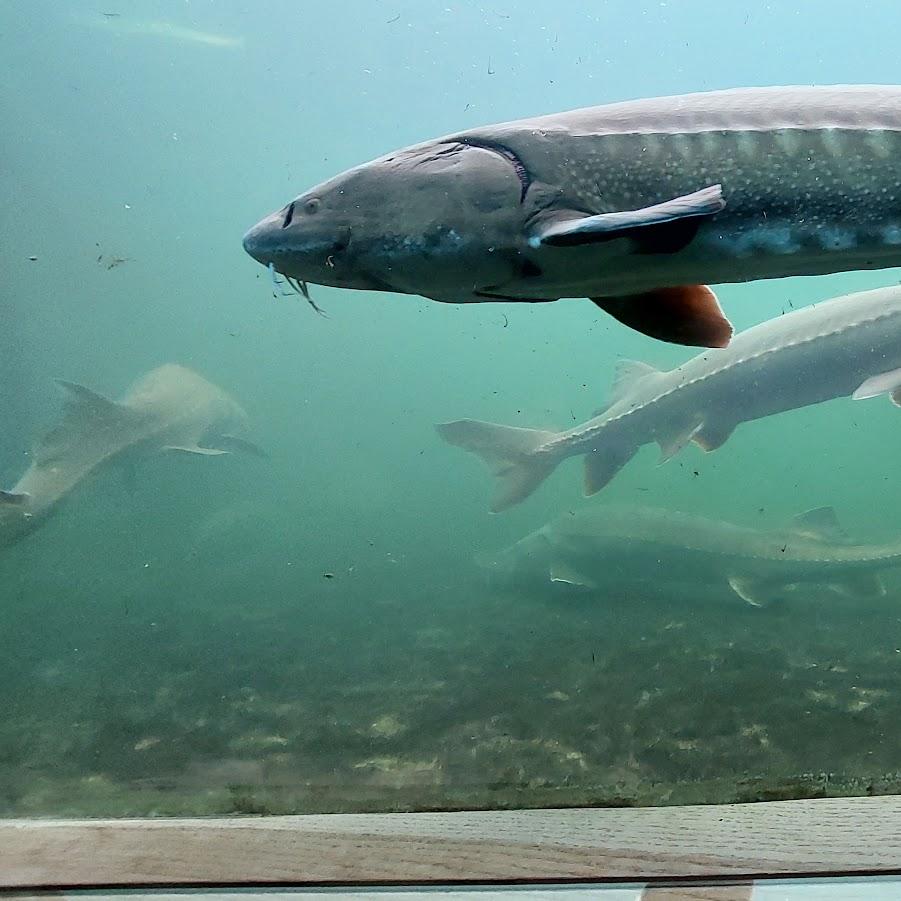 Restaurant "NaturaGart" in Ibbenbüren