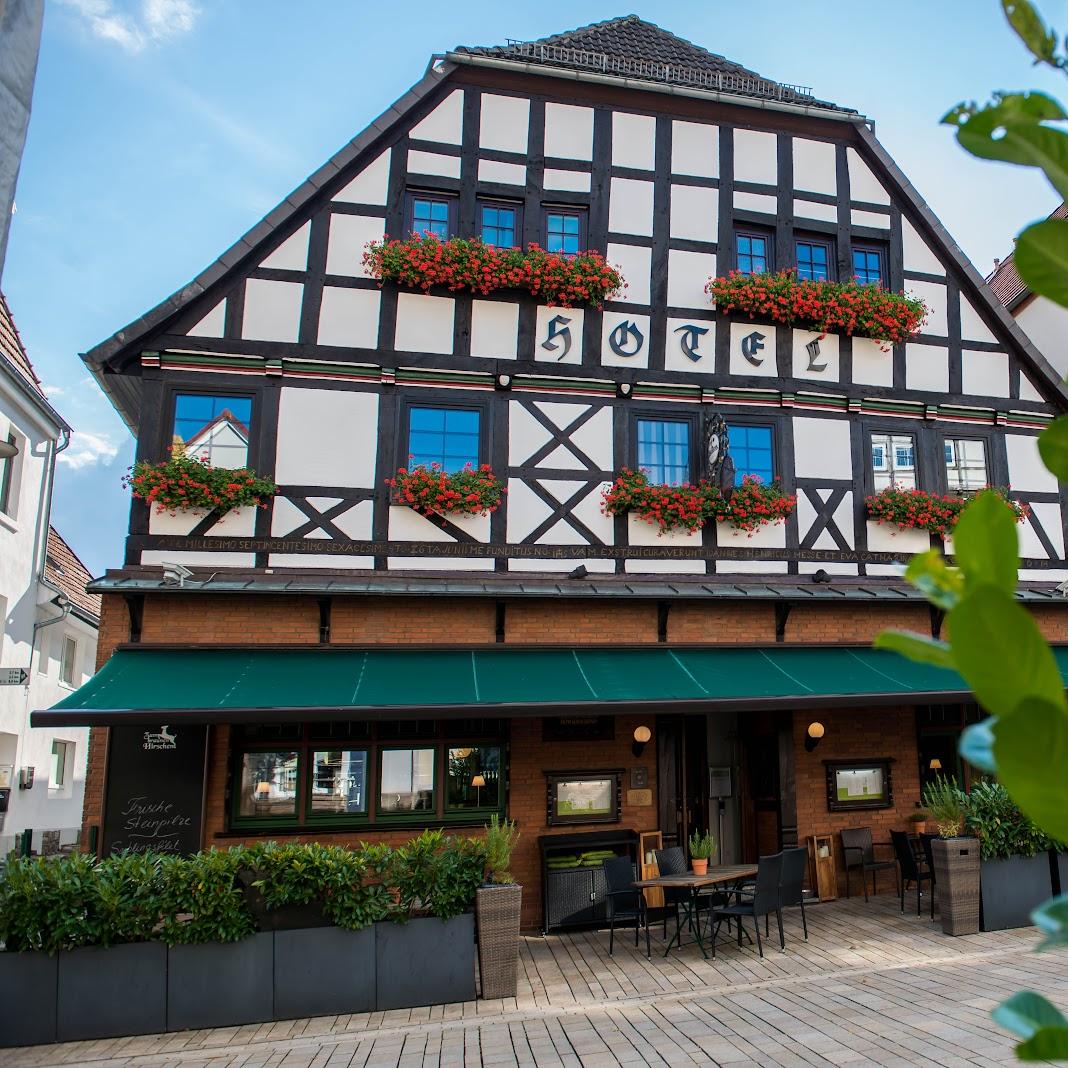 Restaurant "Hotel-Restaurant  Zum braunen Hirschen " in Bad Driburg
