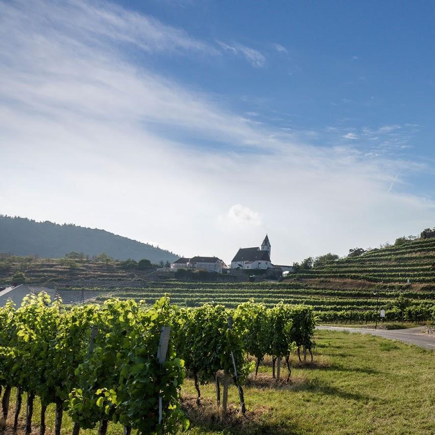Restaurant "Weingut Nigl" in Senftenberg