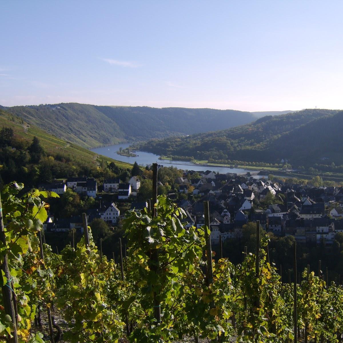 Restaurant "Matthias Dauns" in Reil