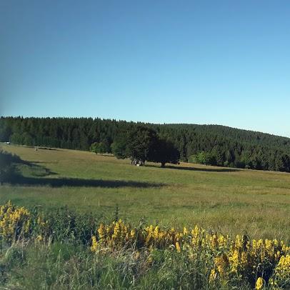 Restaurant "Pension  Schöne Aussicht " in Großbreitenbach