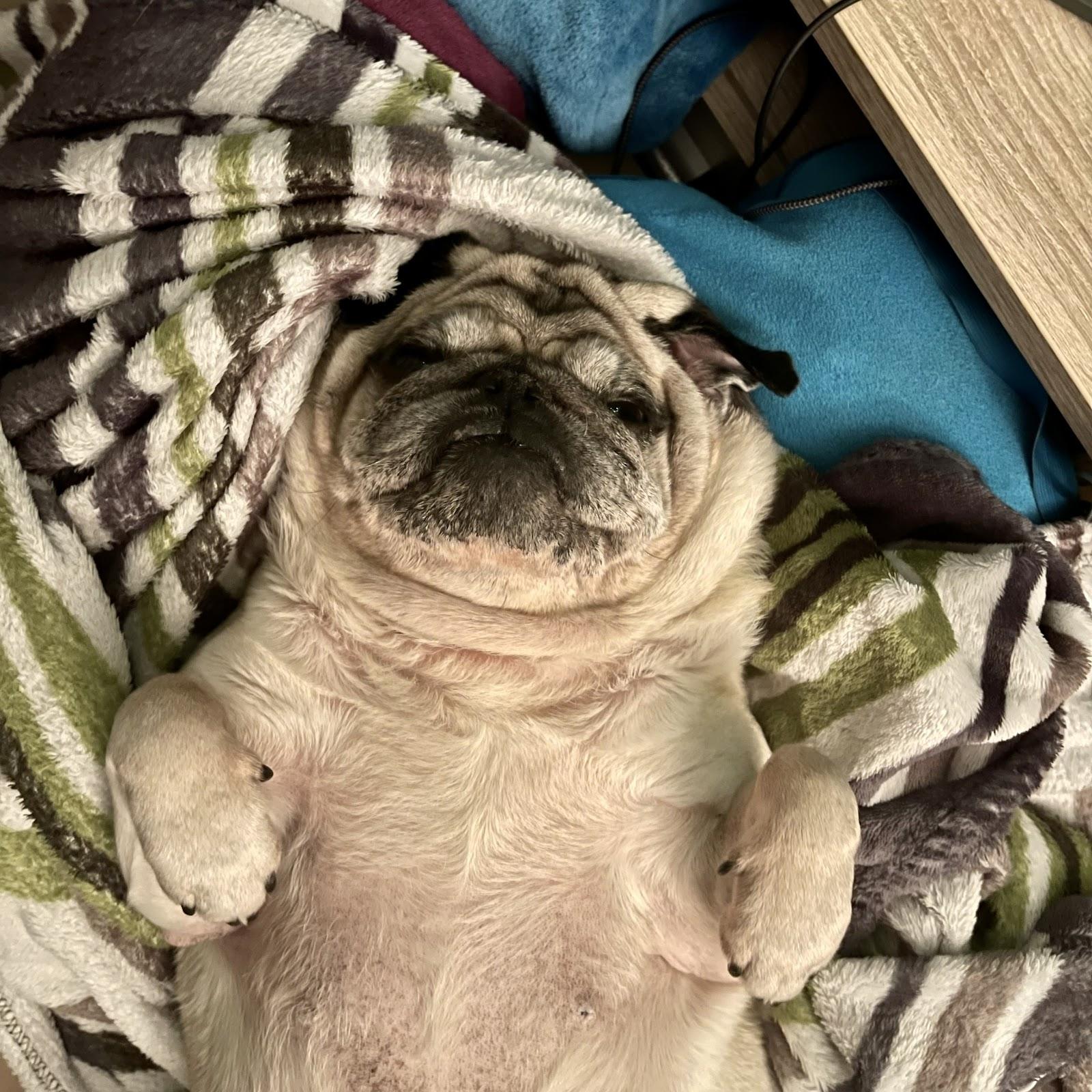 Restaurant "Mannihood" in Arnstein