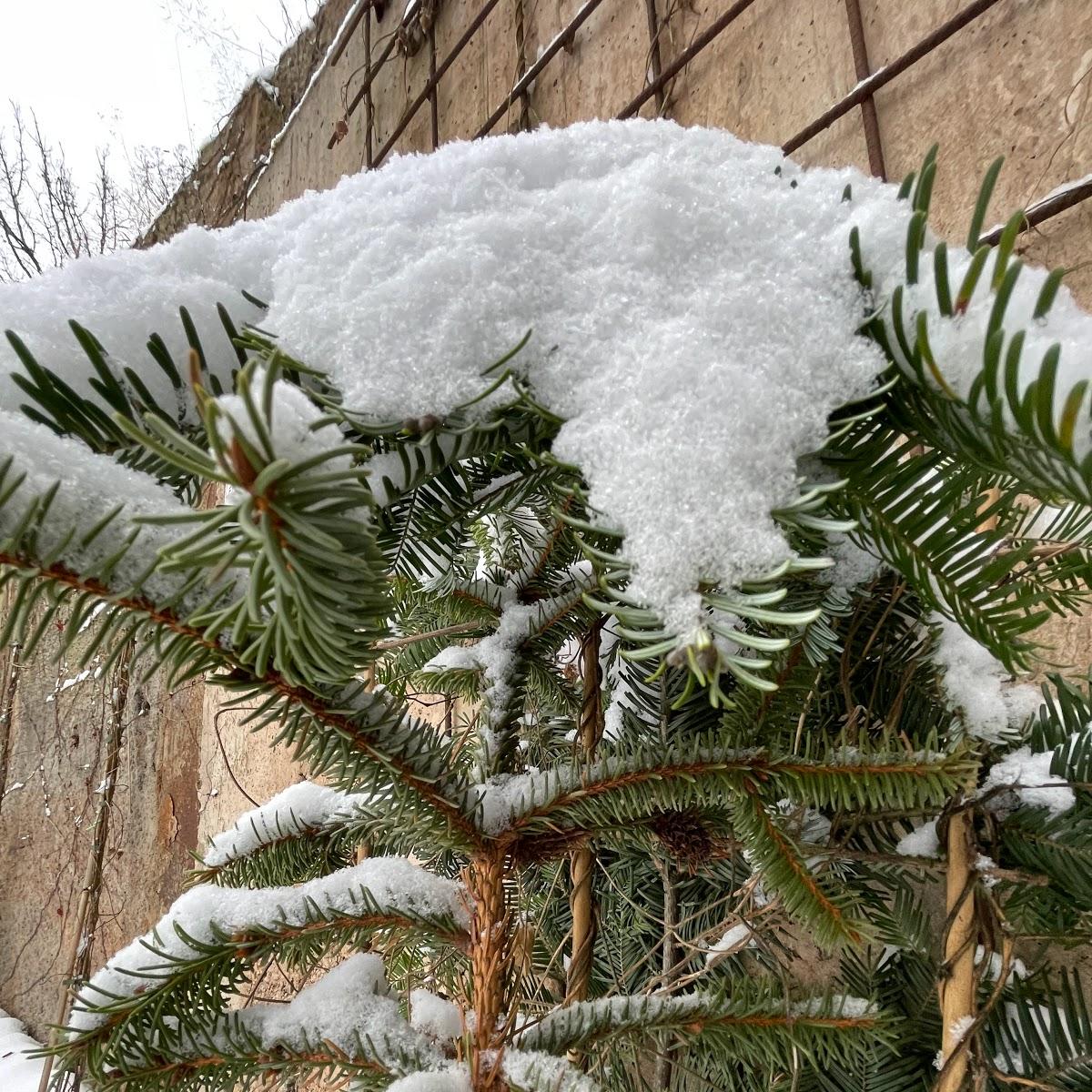 Restaurant "Hotel- Pension Eldorado" in Bad Salzschlirf