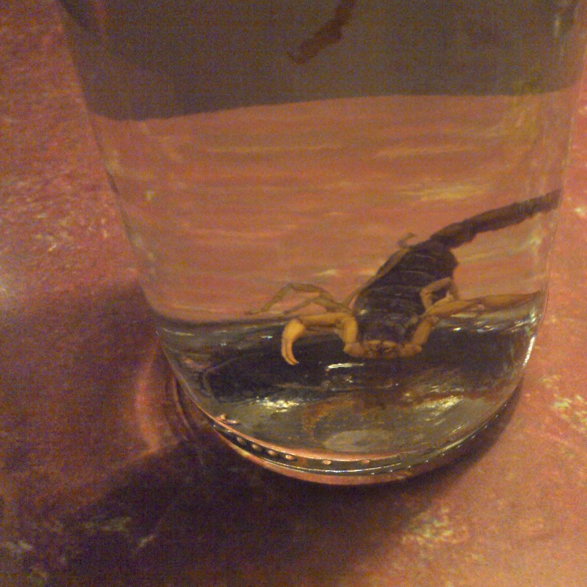 Restaurant "Bistro Circus" in Leutkirch im Allgäu