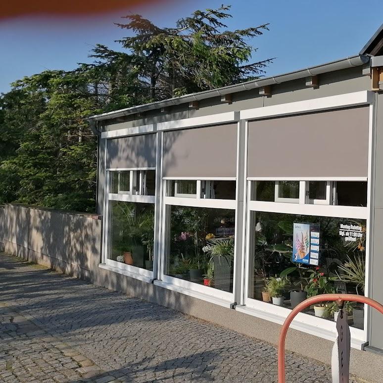 Restaurant "Elbcafé Richter - Mario Richter" in Nünchritz