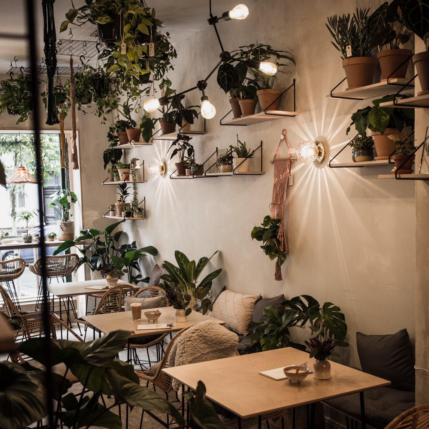 Restaurant "roots. Pflanzencafé" in Leipzig