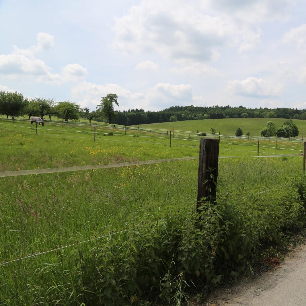 Restaurant "Reitsportzentrum Dilsbergerhof" in  Neckargemünd